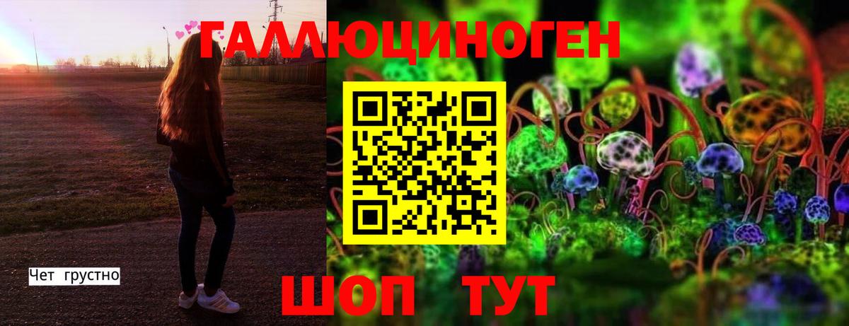 Псилоцибиновые грибы GOLDEN TEACHER Муравленко